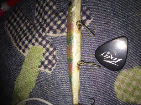 マイクロベイト