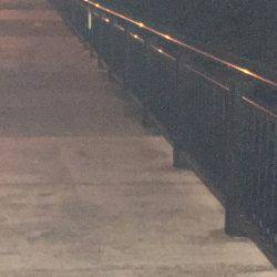 人気ポイントなのだ