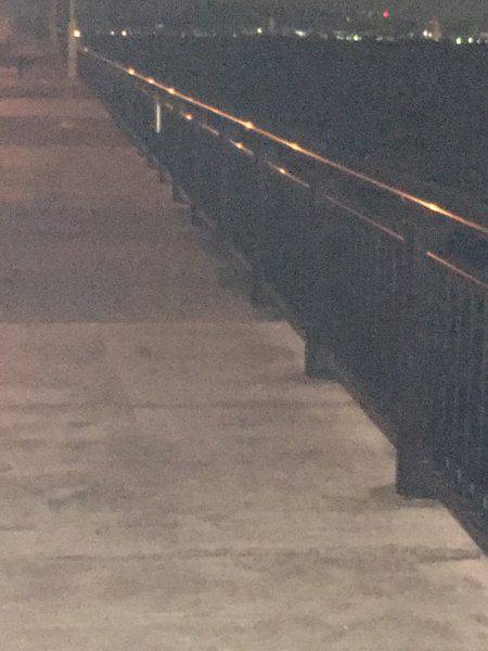 人気ポイントなのだ