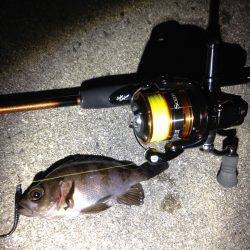 メーッチャ渋いやんか！