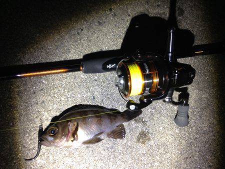 メーッチャ渋いやんか！