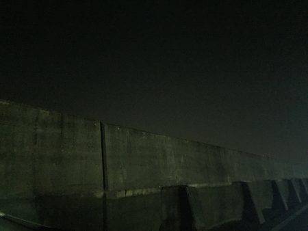 腕が落ちたか…ショートバイトばかり…(ｰ ｰ;)