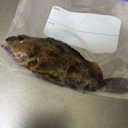 ライトライトライト