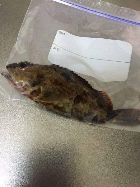 ライトライトライト