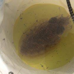 いい天気でした