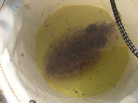 いい天気でした