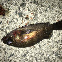 強風、ゲキシブ