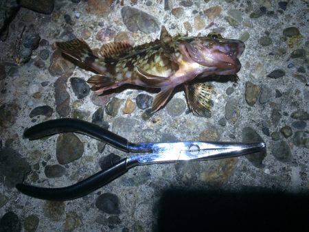 たった一人のガシリング