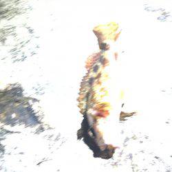 ライトライトライト