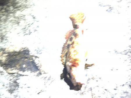 ライトライトライト