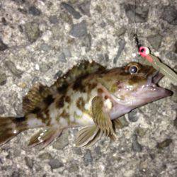 谷川は人がいっぱい