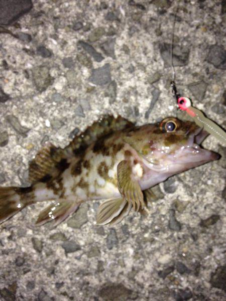 谷川は人がいっぱい