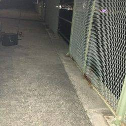 ガシリングをもっとメジャーに