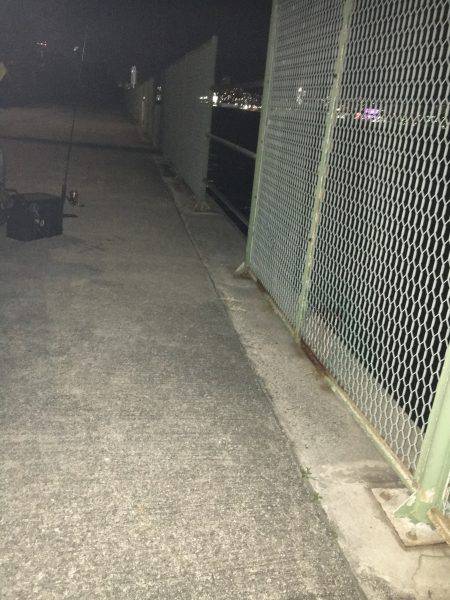 ガシリングをもっとメジャーに