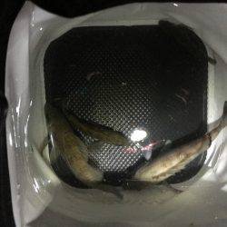 渋かったけどなんとか