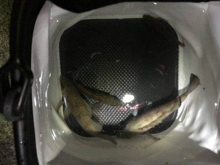 渋かったけどなんとか