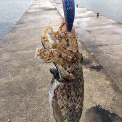 アメニモマケズカゼニモマケズ。