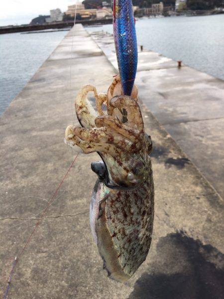 アメニモマケズカゼニモマケズ。