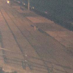 真冬の寒さです