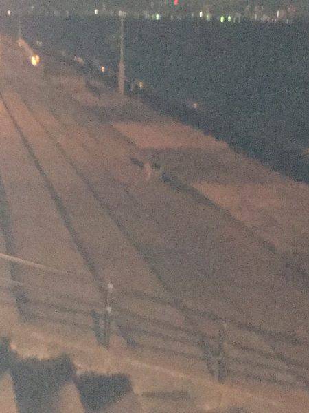 真冬の寒さです