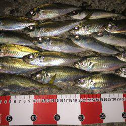 メバリング予定が…。