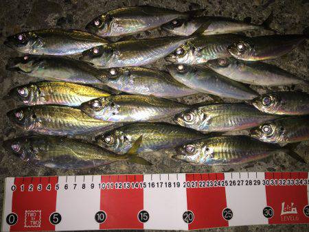 メバリング予定が…。