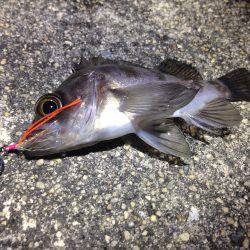 必殺！手作りジグ。