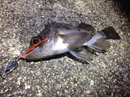 必殺！手作りジグ。