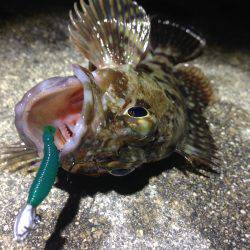 無風×ベタ凪×ド干潮