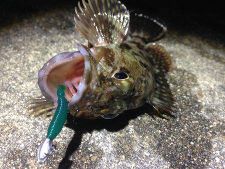 無風×ベタ凪×ド干潮