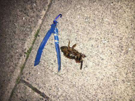 ガシリングでしょう