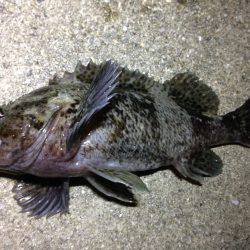 大雨でも行きます!