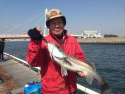 尼崎市立魚つり公園 ７０ｃｍのスズキ！