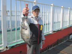 尼崎市立魚つり公園 ７０ｃｍのスズキ！