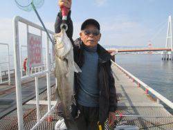 尼崎市立魚つり公園 エビ撒きズボ釣りでスズキサイズ
