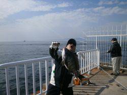 大阪南港海釣り公園 ガシラとチヌの釣果