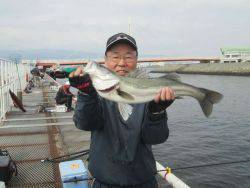 尼崎市立魚つり公園 お昼過ぎにスズキの時合きました