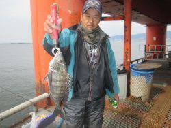 尼崎海釣り公園　ハネ・セイゴ・チヌの釣果