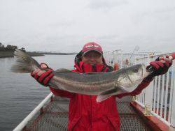 尼崎市立魚つり公園　スズキ 	69cmほか