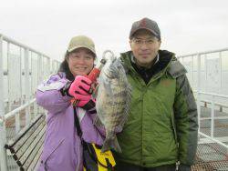 尼崎市立魚つり公園　チヌ、ハネ、ほか