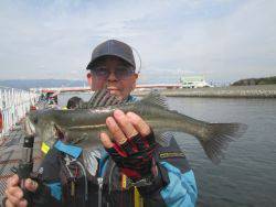 尼崎市立魚つり公園　ハネ、チヌ、セイゴ