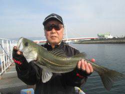 尼崎市立魚つり公園 チヌ、ハネ