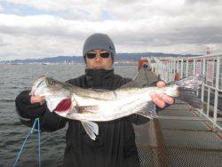 尼崎市立魚つり公園　ハネ、チヌ