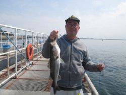 尼崎市立魚つり公園 ウキ釣りで良型ハネ