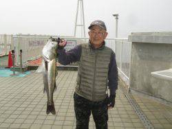 尼崎市立魚つり公園　スズキ、ハネ