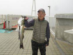 尼崎市立魚つり公園　スズキ、ハネ