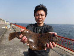 神戸市立平磯海づり公園 記録賞のカレイ38cm☆