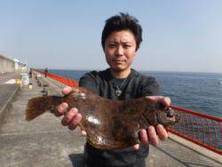 神戸市立平磯海づり公園 記録賞のカレイ38…