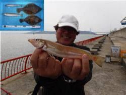 神戸市立平磯海づり公園　キス　記録賞！