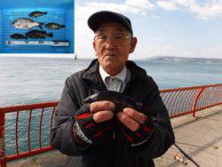 神戸市立平磯海づり公園　メバル、ウミタナゴ…